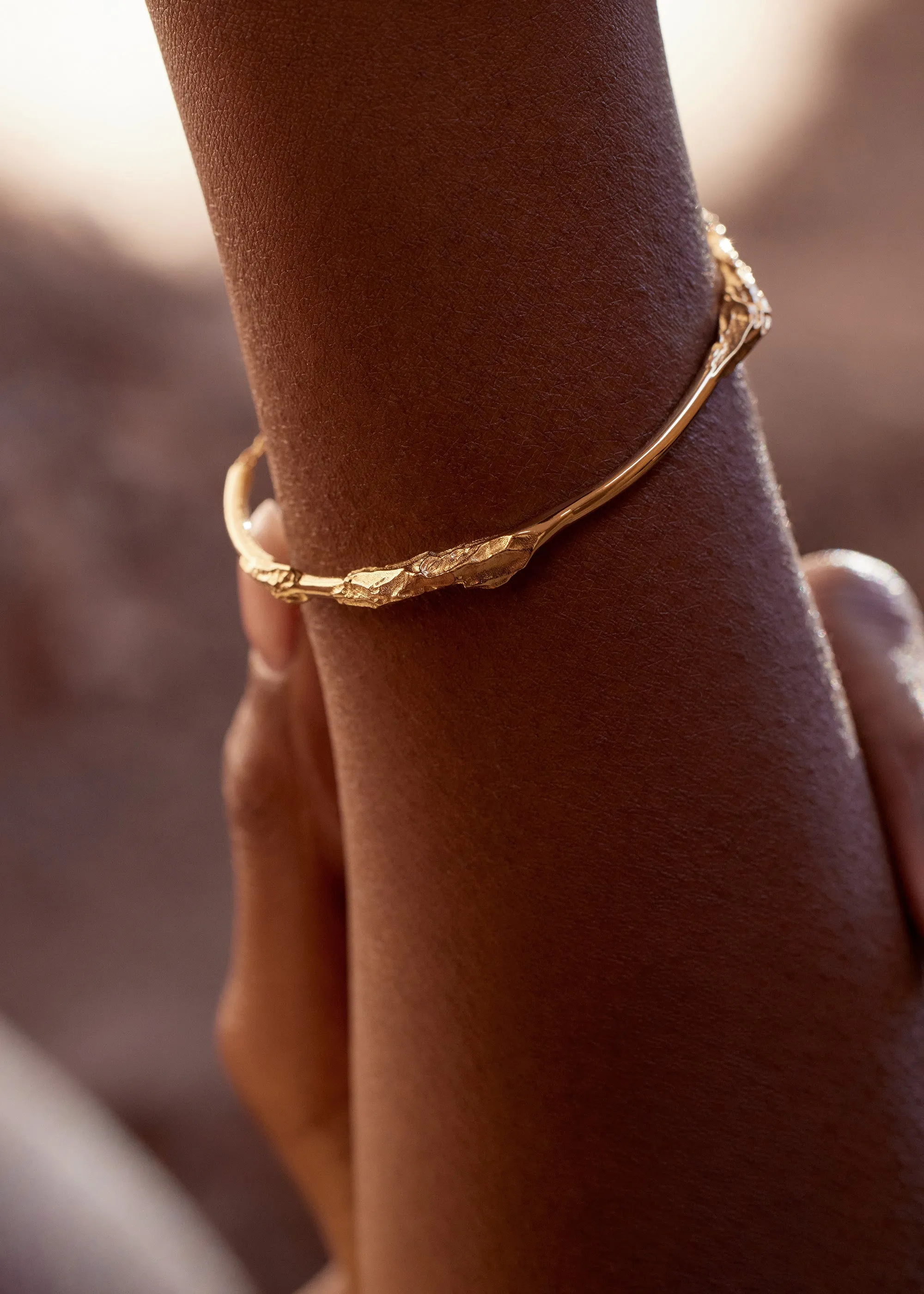 Eroz Bangle - 24K Gold Gilded