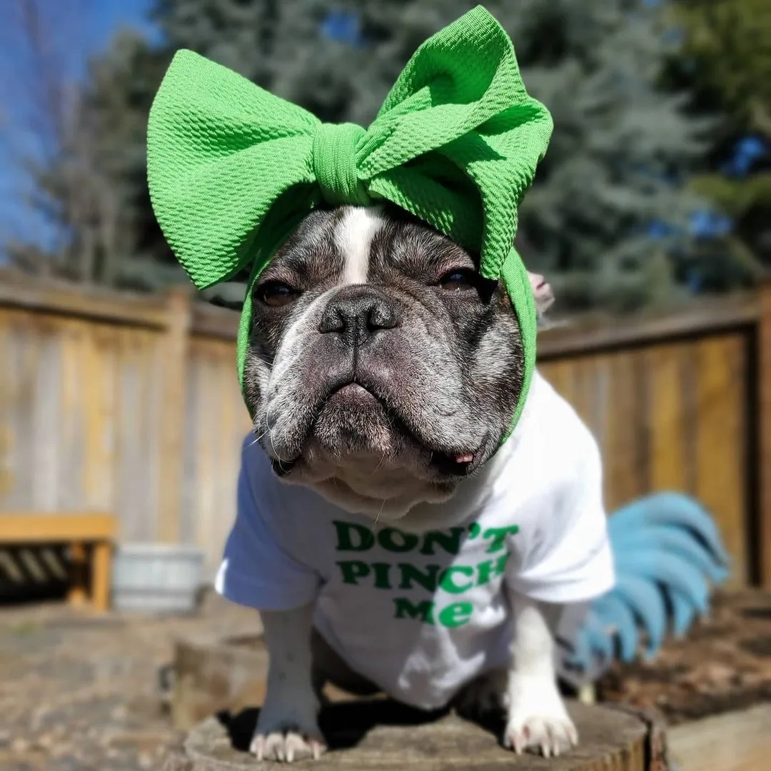 Frenchiestore Pet Head Bow | Green