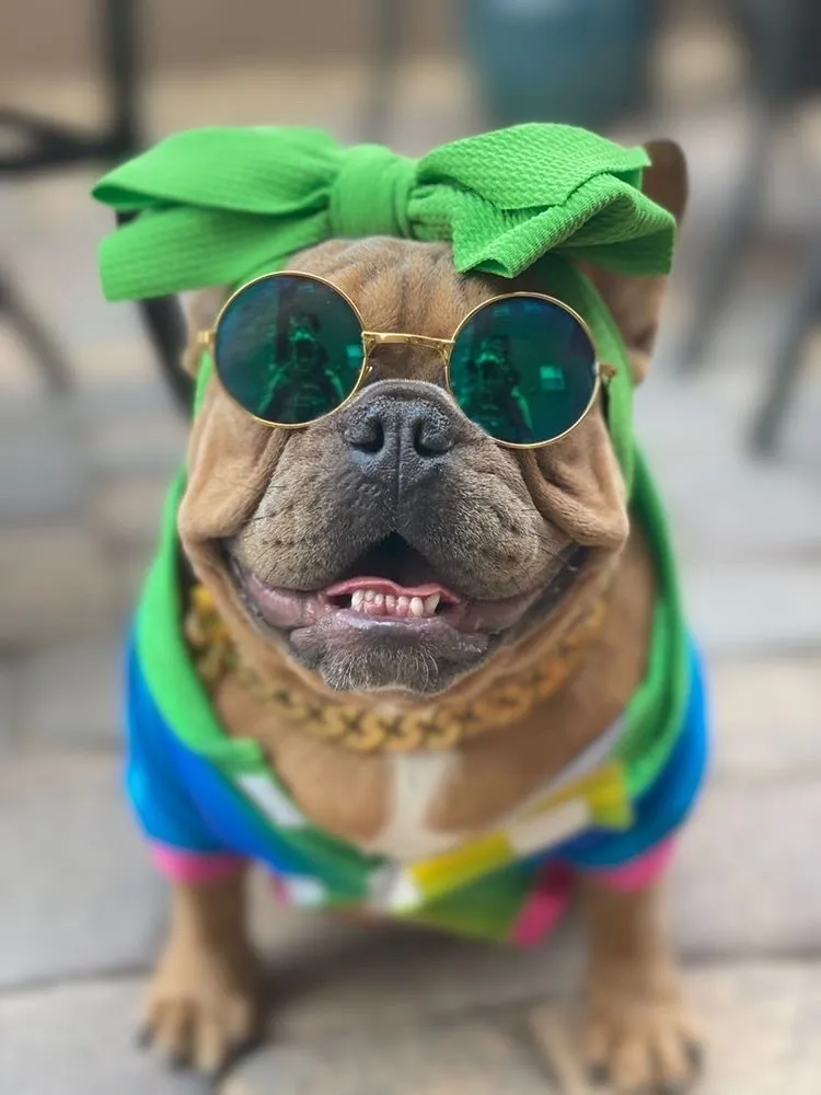 Frenchiestore Pet Head Bow | Green