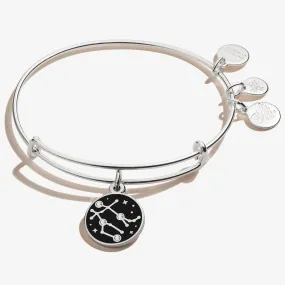 Optimized Title: Chic Gemini Zodiac Charm Bangle in Color Options